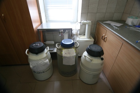 Заморожена сперма