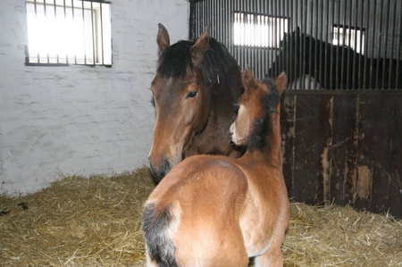 Мама завжди пидтримає