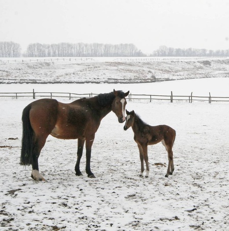 Цікаво, про що вони спілкуються)))