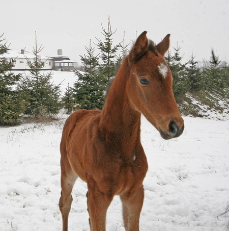 Фотосесія малечі