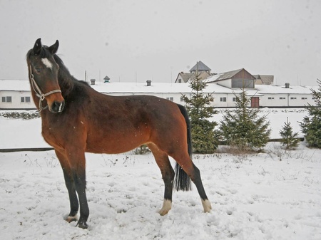 Я така гарна, невже це я.!?